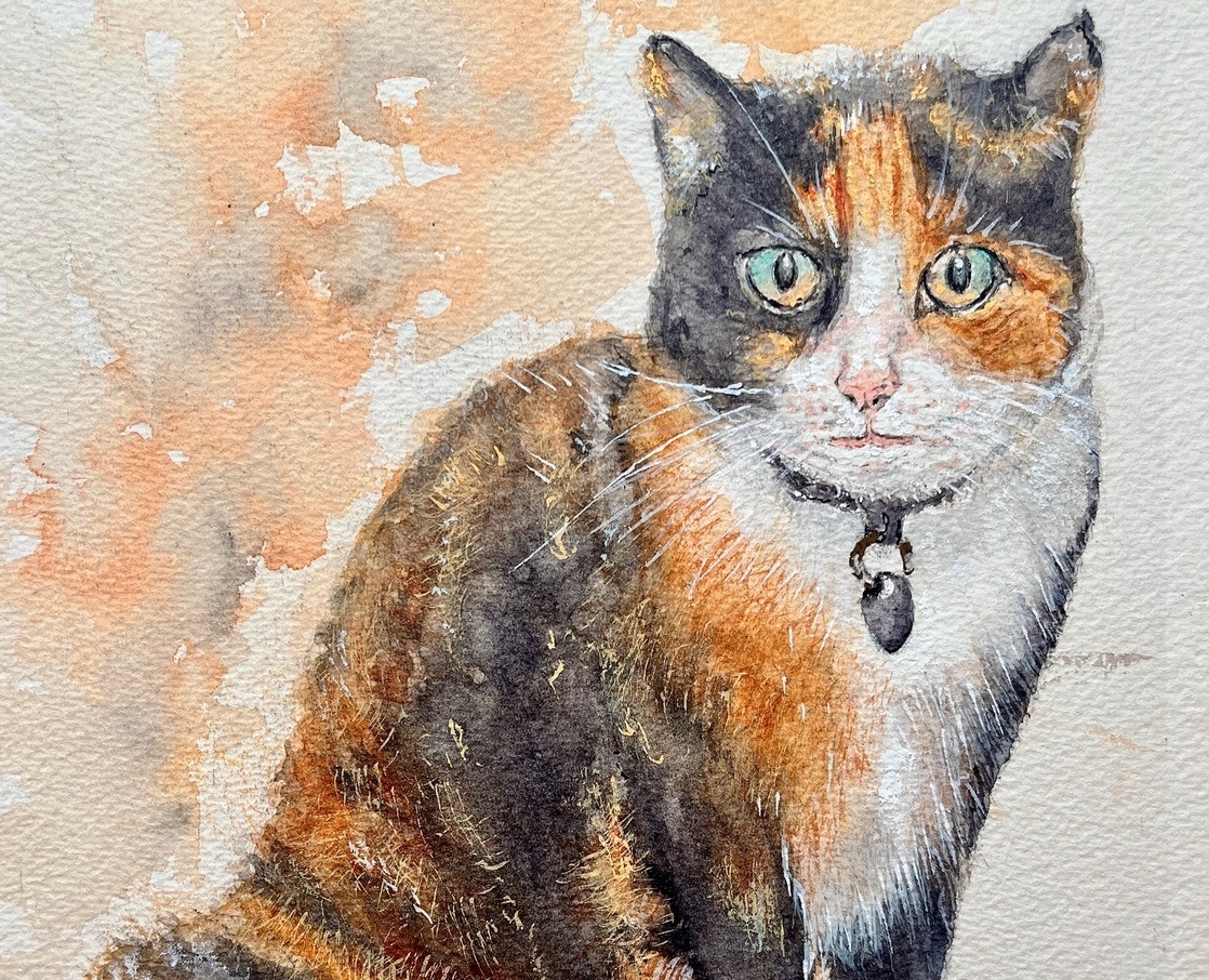 Examples of my real-life painting work