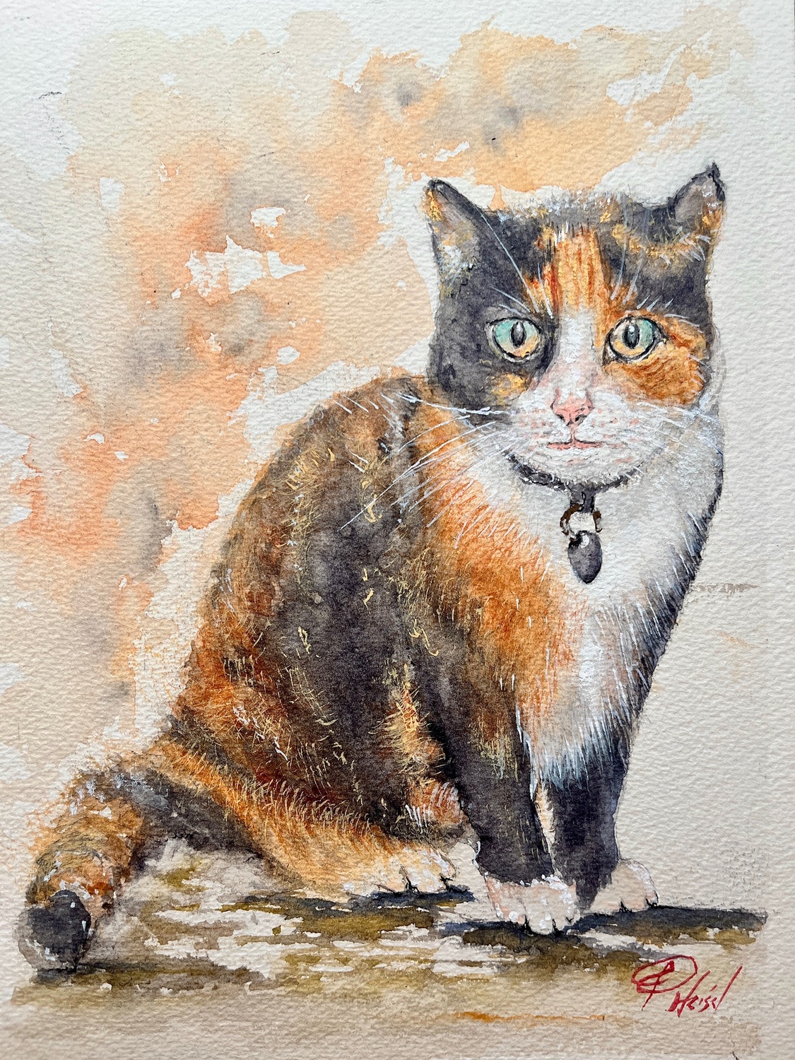 A4 Commission A4 Commission